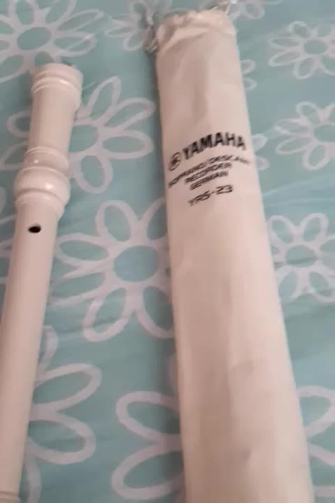 فلوت یاماها المانی|سازهای بادی|تهران, سازمان برنامه جنوبی|دیوار