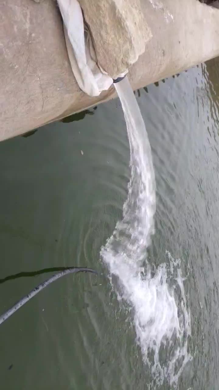 زمین کشاورزی و باغی به متراژ ده هزار و سیصد متر|فروش دفتر صنعتی، کشاورزی، تجاری|همدان, |دیوار