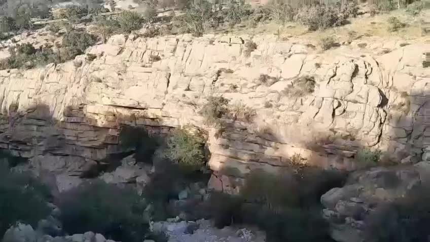 سوییت روزانه آپارتمان تروتمیز جای امن وآرام|اجارهٔ کوتاه‌مدت آپارتمان و سوئیت|دوگنبدان, |دیوار