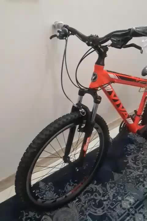 دوچرخه اصل ویوا|دوچرخه، اسکیت، اسکوتر|قم, سراجه (۱۵ خرداد)|دیوار