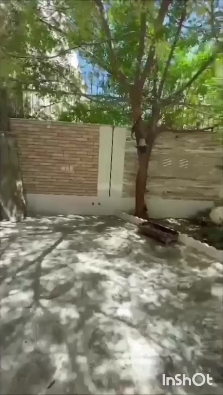 آپارتمان دوبلکس200متر/چهارراه باهنر/2کله نور/3خواب|فروش آپارتمان|اصفهان, باب الدشت|دیوار