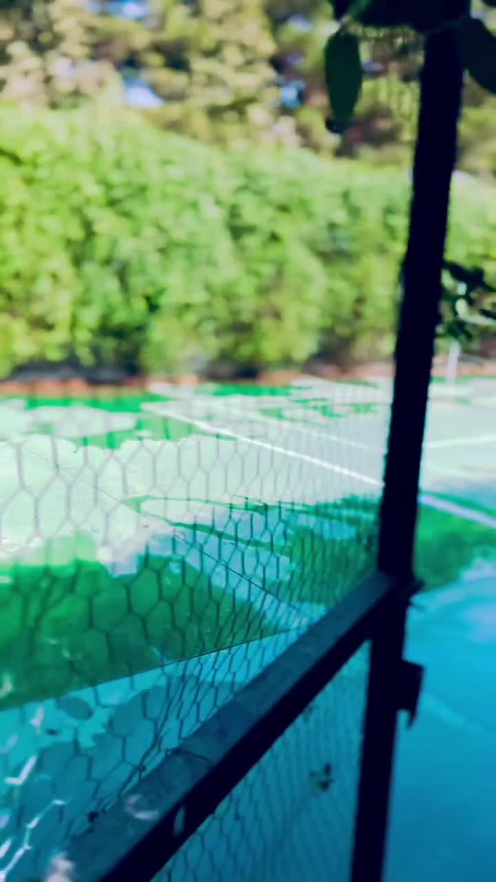 زمین تنیس جهت عکاسی و فرمالیته اختصاصی عمارت دار|اجارهٔ کوتاه‌مدت ویلا و باغ|مشهد, وکیل‌آباد|دیوار