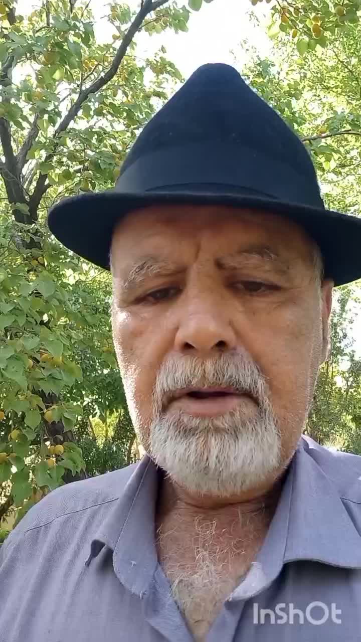 1050متر باغ آجیلی عالی نزدیک آسفالت|فروش دفتر صنعتی، کشاورزی، تجاری|سامان, |دیوار