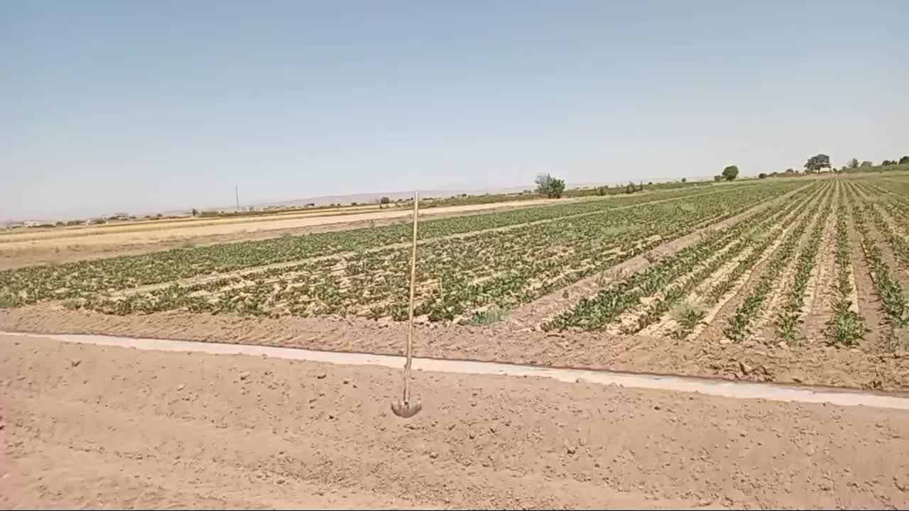 دستگاه کود پاش دامی تمام هیدرولیک|ماشینآلات صنعتی|عطاملک, |دیوار