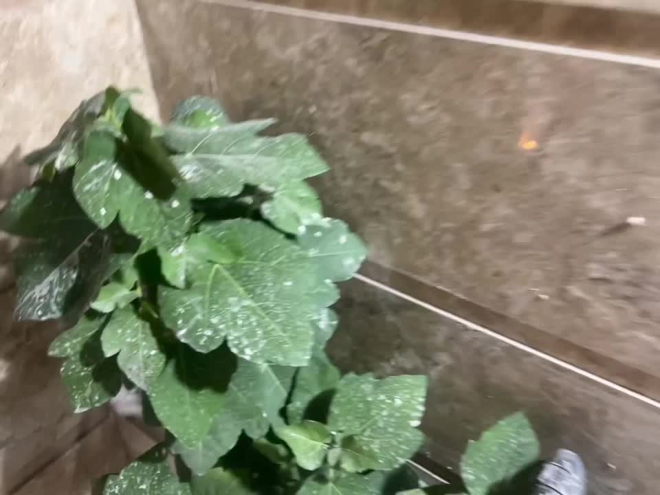 سنگ وسرامیک کاری|استخدام معماری، عمران و ساختمانی|قم, علی آباد سعدگان|دیوار