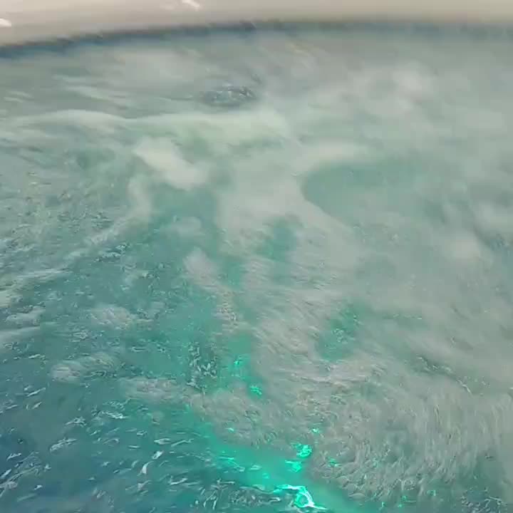 اجرای کاشی استخر تضمینی|خدمات پیشه و مهارت|تالش, هشتپر|دیوار