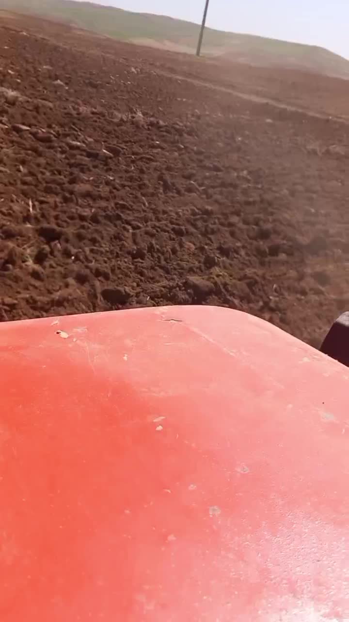 گاو‌ آهن خراسان درجه ۱ صفر صفر|ابزارآلات|دیواندره, |دیوار