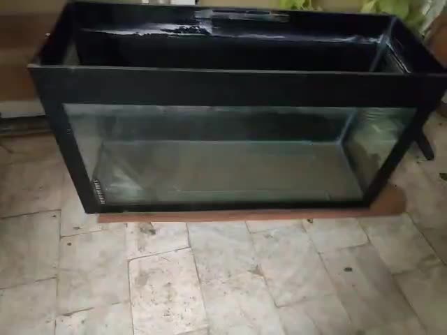 آکواریوم شیشه ((10میل))|ماهی|قم, باغ کرباسی|دیوار