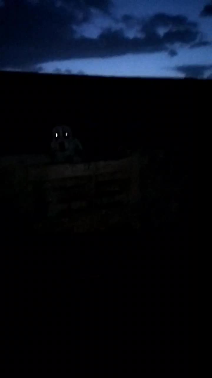 سگ سرابی|سگ|رباط‌کریم, پیغمبر|دیوار