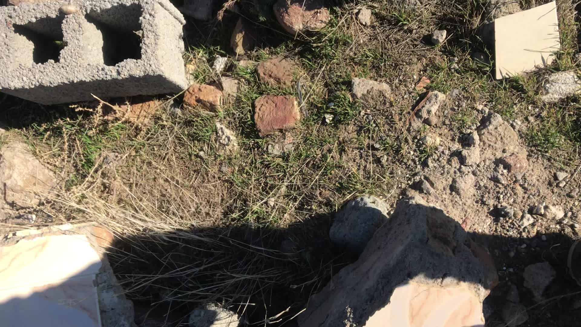 زمین|فروش زمین و ملک کلنگی|مشگین شهر, |دیوار