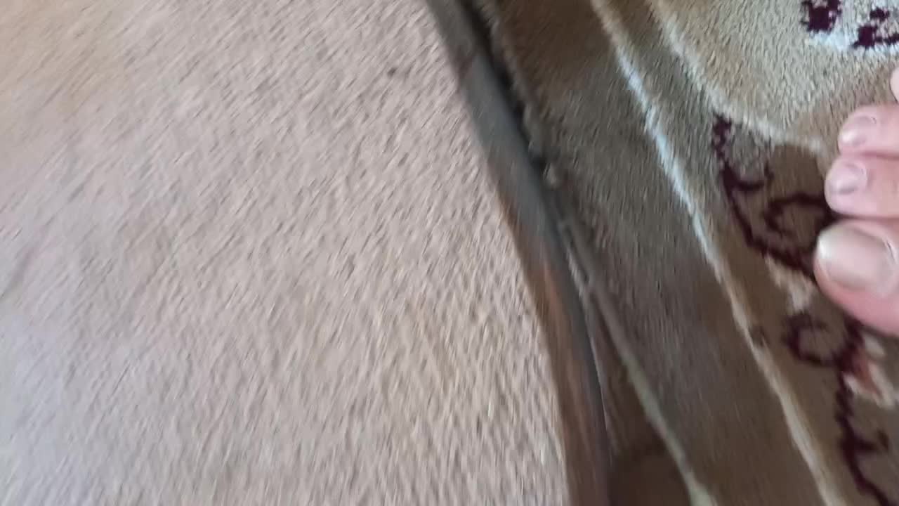 هیکلی تضمینی جنس گاومیش|کیف، کفش، کمربند|اسلام‌شهر, شهرک امام حسین (میان آباد)|دیوار