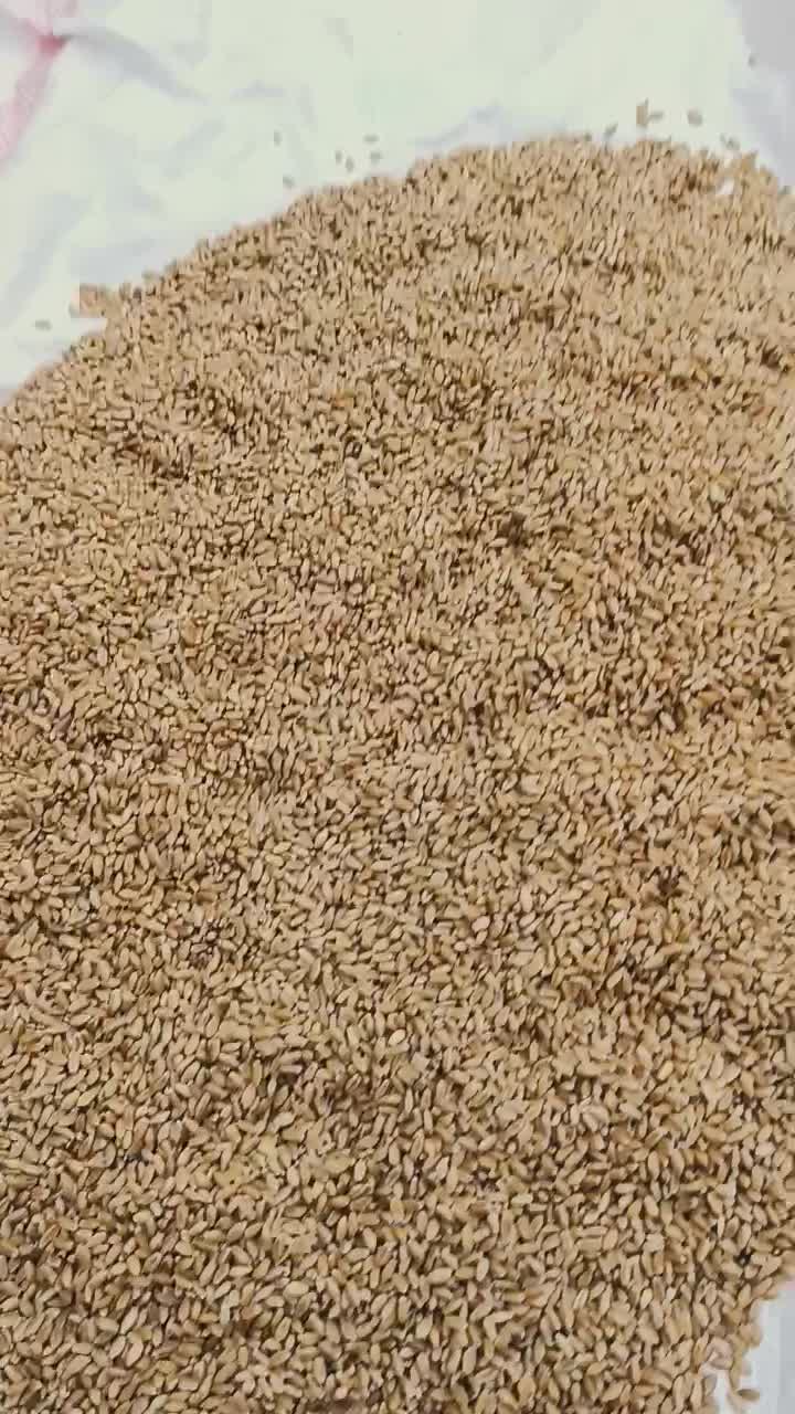 گندم|خدمات باغبانی و درختکاری|حمیدیه, |دیوار