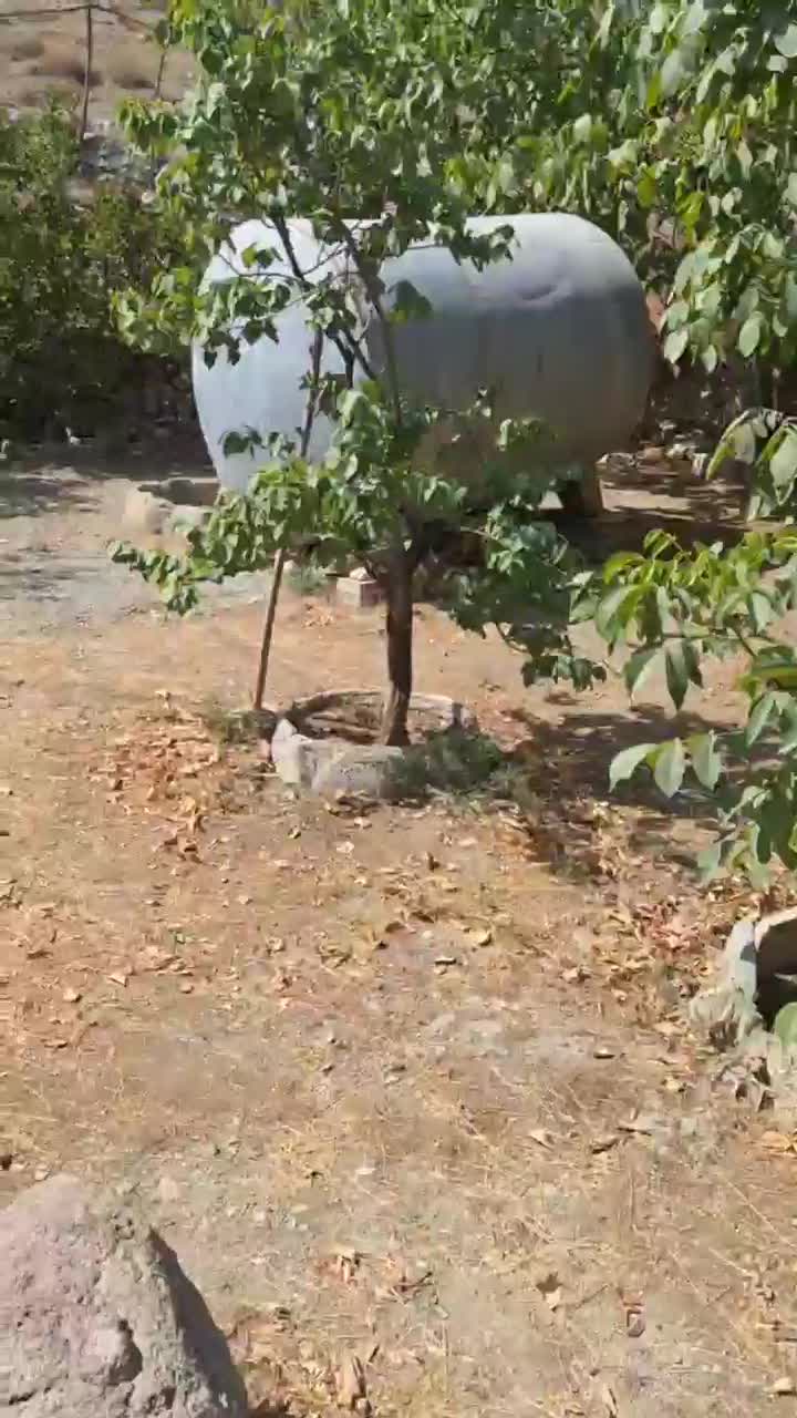 ۱۳۲۵ متر ویلایی روستای توریستی برغان بالا بر اصلی|فروش خانه و ویلا|کرج, گلشهر|دیوار