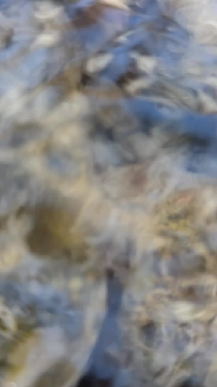 پژو۴۰۵ دوگانه کارخونه|خودرو سواری و وانت|کرمان, |دیوار