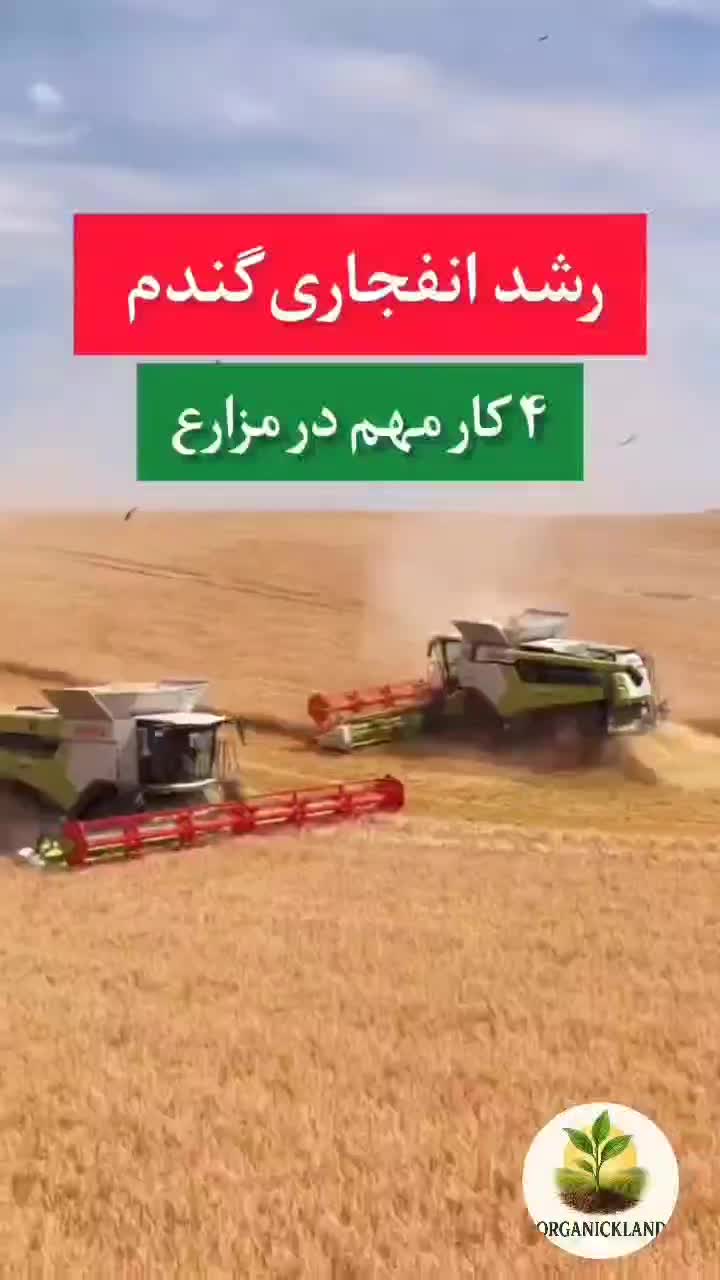 کود ارگانیک سبوسیب|خدمات باغبانی و درختکاری|زنجان, |دیوار