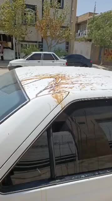 پارس تیوفایو مدل 93|خودرو سواری و وانت|مرودشت, شهرک مهدیه|دیوار