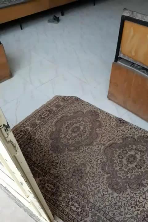 کافه|کافی‌شاپ و رستوران|اردبیل, |دیوار