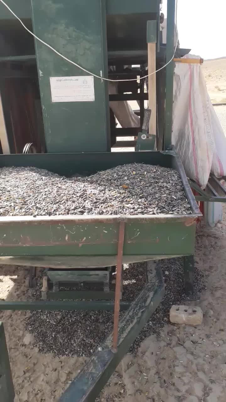 تخمهتازهدرشت|خوردنی و آشامیدنی|مشکیندشت, |دیوار