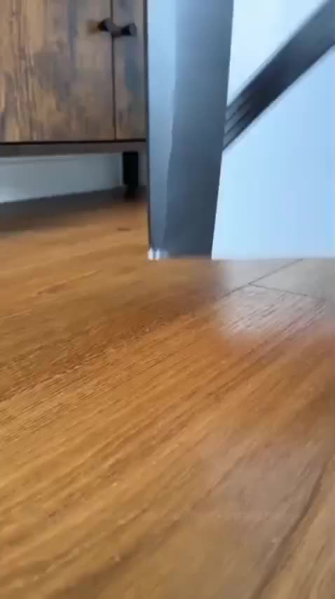 مسابقات پی اس 5|کنسول، بازی ویدئویی و آنلاین|سبزوار, سیادتی|دیوار