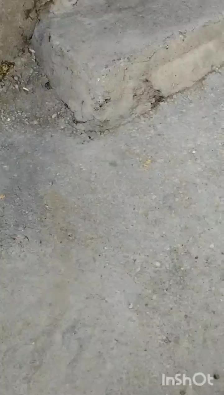 فروش خانه کلنگی پشت بانک ملی|فروش خانه و ویلا|جوانرود, |دیوار