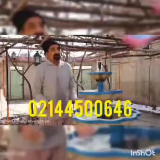 قالیشویی شهرقدس.ورداورد.گرمدره|خدمات نظافت|تهران, وردآورد|دیوار