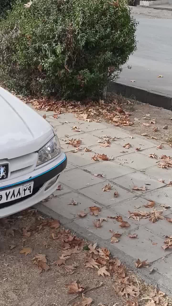 پارس 93 درجه یک|خودرو سواری و وانت|اسدآباد, |دیوار