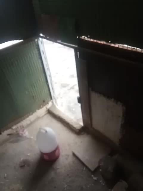 قفس|لوازم جانبی حیوانات|بندر گناوه, |دیوار