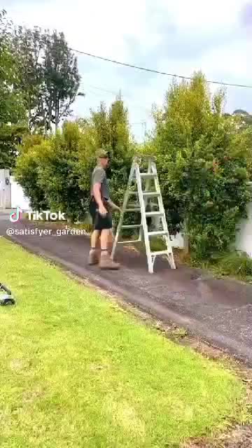 خدمات باغبانی باغچه کاری گلکاری هرس کاری چمن‌کاری|خدمات باغبانی و درختکاری|لواسان, |دیوار