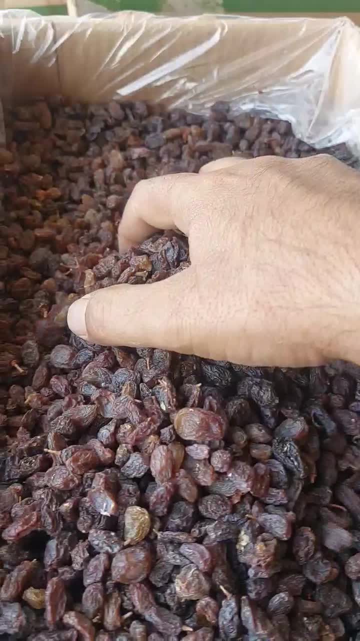 کشمش مویز|عمده‌فروشی|مرودشت, ژیان|دیوار