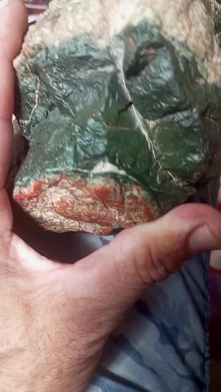 وسایل شخصی واکسسوری|زیورآلات و اکسسوری|زاوه, |دیوار