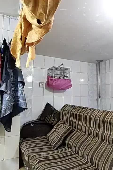جوجه سهره قفسی دهن لر|پرنده|جوانرود, |دیوار