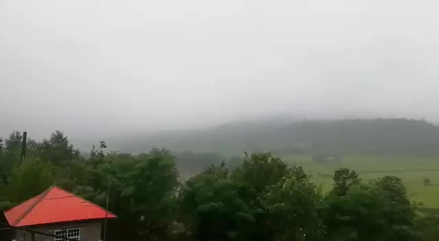 خونه ویلایی 600متریجنگلی/شفت*behnamvilla *|فروش خانه و ویلا|احمدسرگوراب, |دیوار