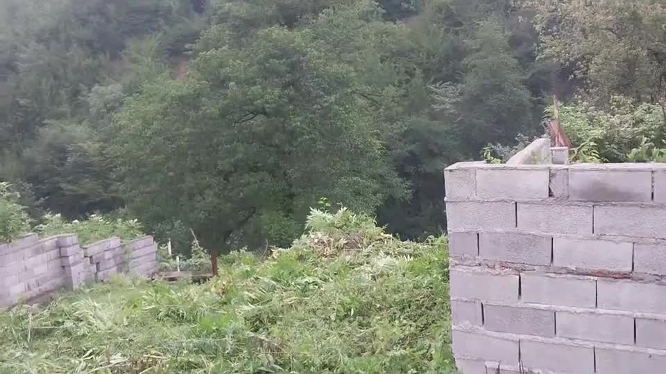 زمین دارای پروانه ساخت در سوادکوه شمالی منطق لفور|فروش زمین و ملک کلنگی|شیرگاه, |دیوار