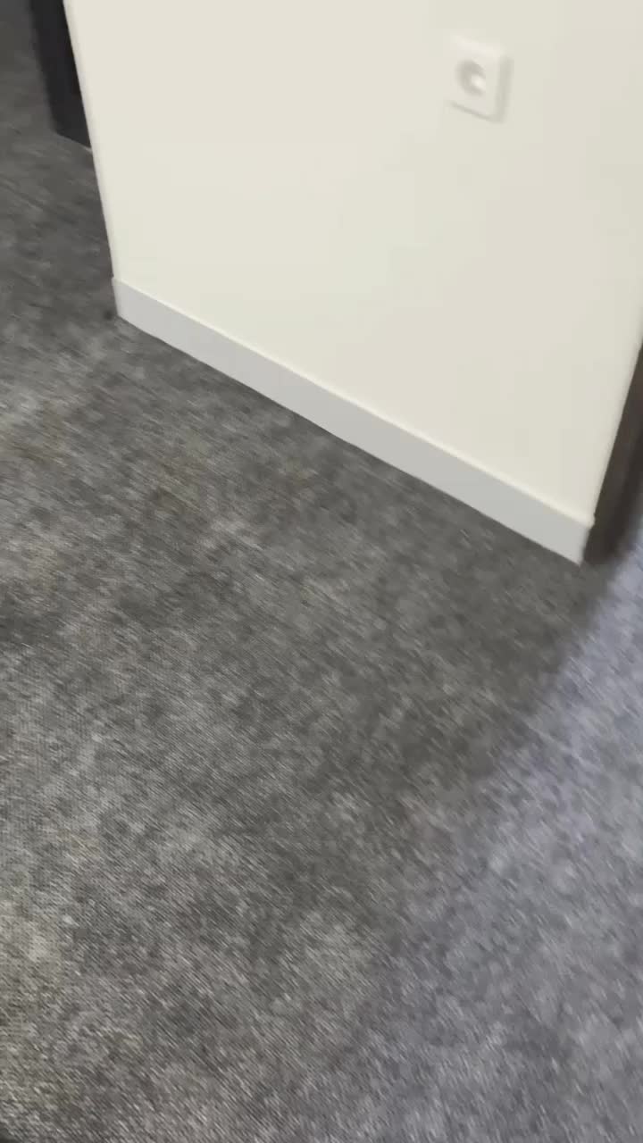 موکت تایلی،اداری،پالازموکت+نصاب موکت|موکت|تهران, بهارستان|دیوار