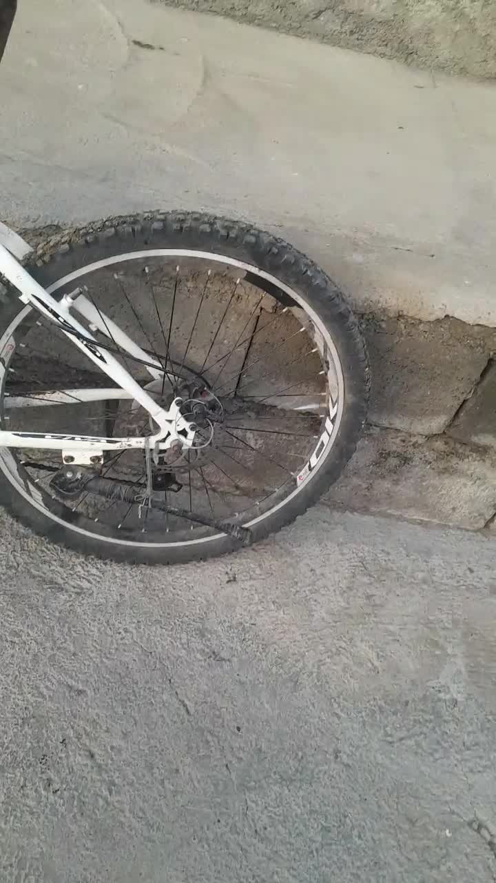 دوچرخه|دوچرخه، اسکیت، اسکوتر|اهر, |دیوار