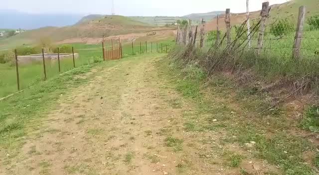 10000هزار متر زمین کشاورزی سند دار|فروش زمین و ملک کلنگی|دیلمان, |دیوار