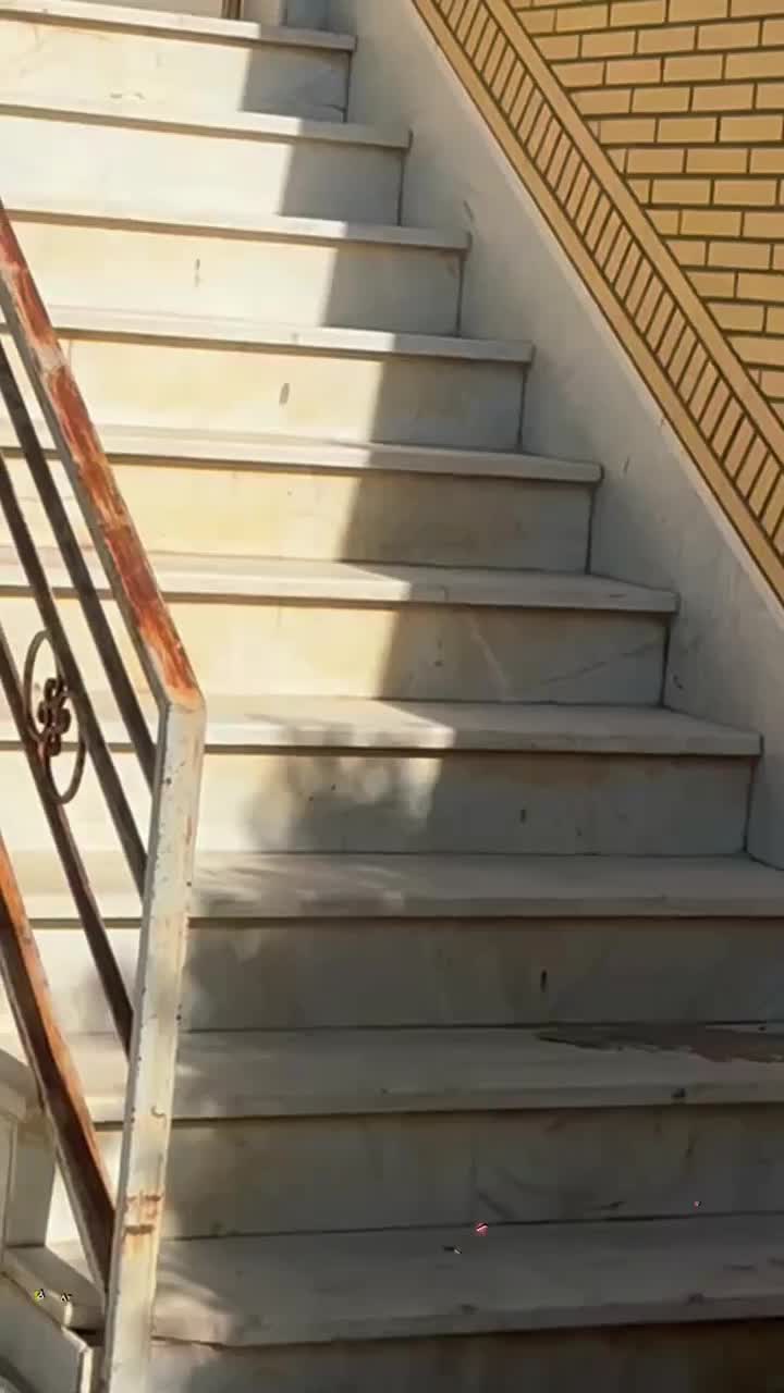 نقاشی،رنگکاری،طرح کاغذدیواری ساختمان با شرایط ویژه|خدمات پیشه و مهارت|قم, باجک دو|دیوار