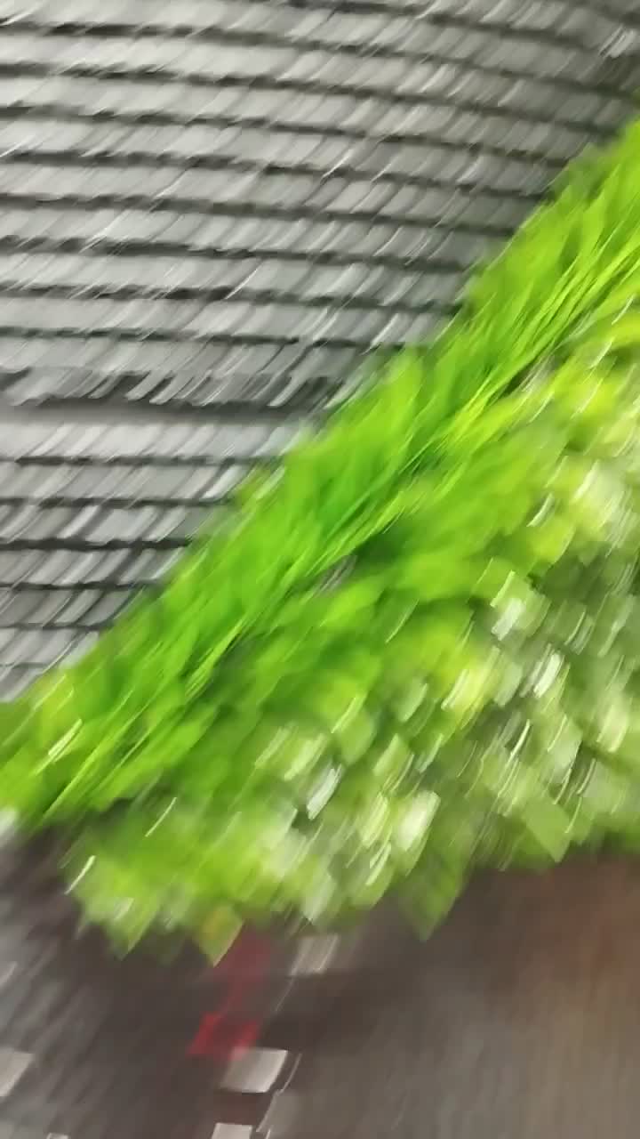 چمن مصنوعی  338000تومن فروش ویژه پاییزه|گل مصنوعی|لاهیجان, بازکیاگوراب|دیوار