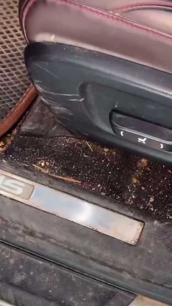 پولیش و صفرشویی و احیای رنگ و قلم گیری سرامیک|خدمات موتور و ماشین|کرج, مجتمع صنفی صنعتی|دیوار