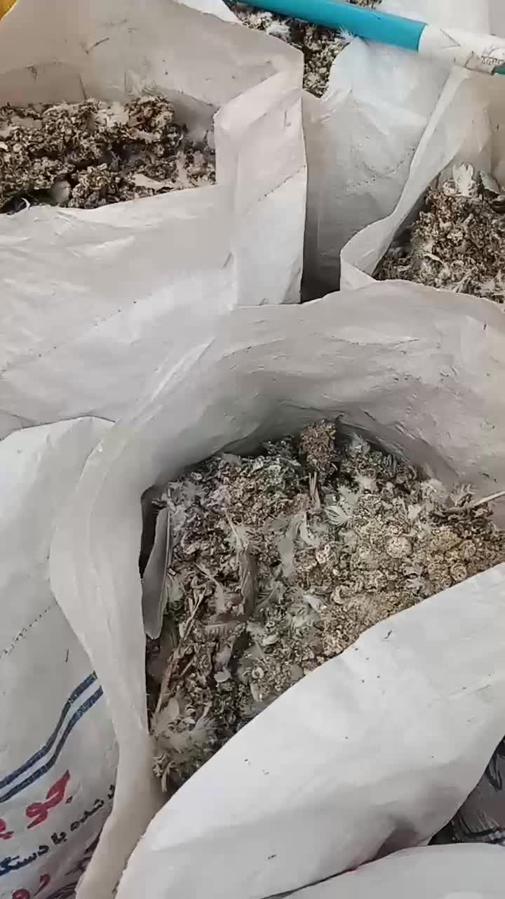 کود کفتر|خدمات باغبانی و درختکاری|مشکین‌دشت, |دیوار