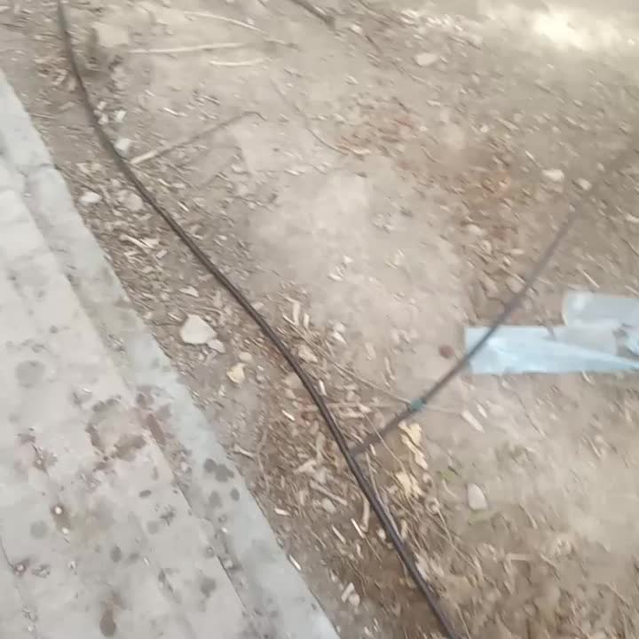 خدمات باغبانی|خدمات باغبانی و درختکاری|محمدشهر, محمدشهر|دیوار