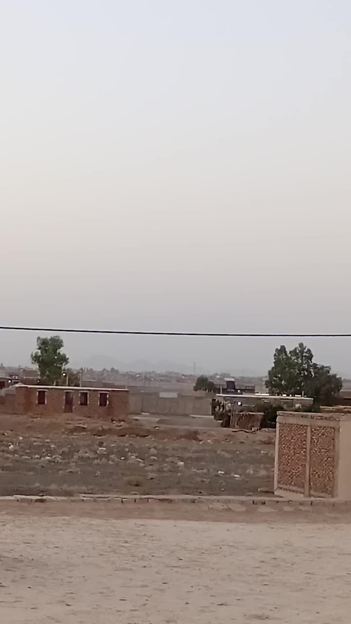 کفتر خاش|پرنده|میرجاوه, |دیوار