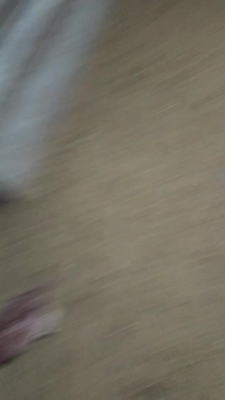 لاری|حیوانات مزرعه|محمدبار, |دیوار