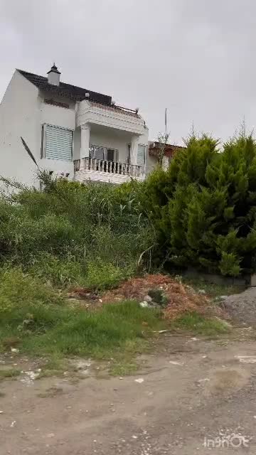 250متر زمین فروشی شهرکی ساحلی نزدیک دریا بانگهبان|فروش زمین و ملک کلنگی|سرخرود, |دیوار