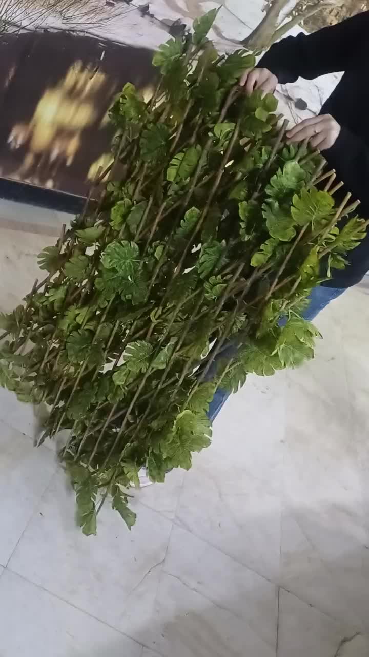 گرین وال آکاردونی|گل مصنوعی|تهران, علم و صنعت|دیوار