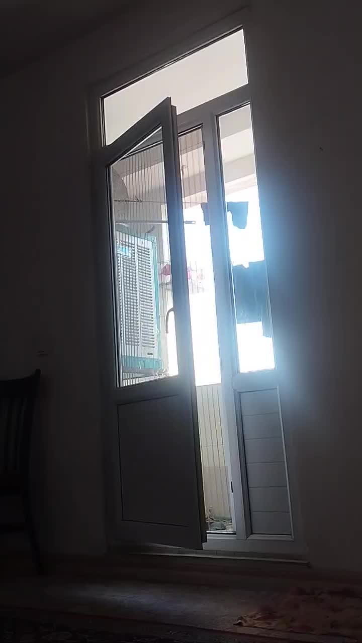 سهره خاکی بخون بیضا شیراز دهن هزار ۶ماهه|پرنده|تهران, شهید رجایی|دیوار