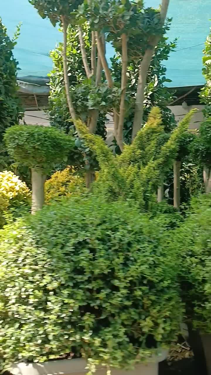 خدمات باغبانی باغچه کاری گلگاری درختکاری خاک گلدان|خدمات باغبانی و درختکاری|تهران, شهرک غرب|دیوار