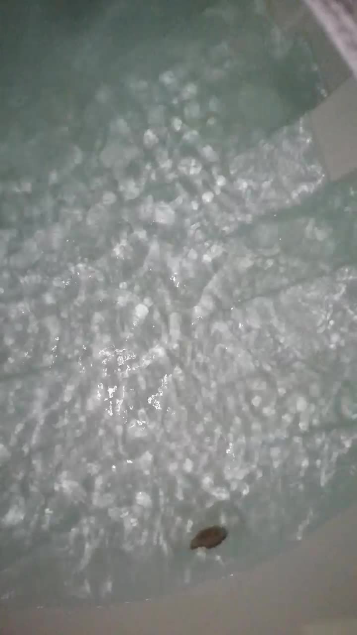 آبرسانی محمدزاده|خدمات حمل و نقل|بومهن, |دیوار