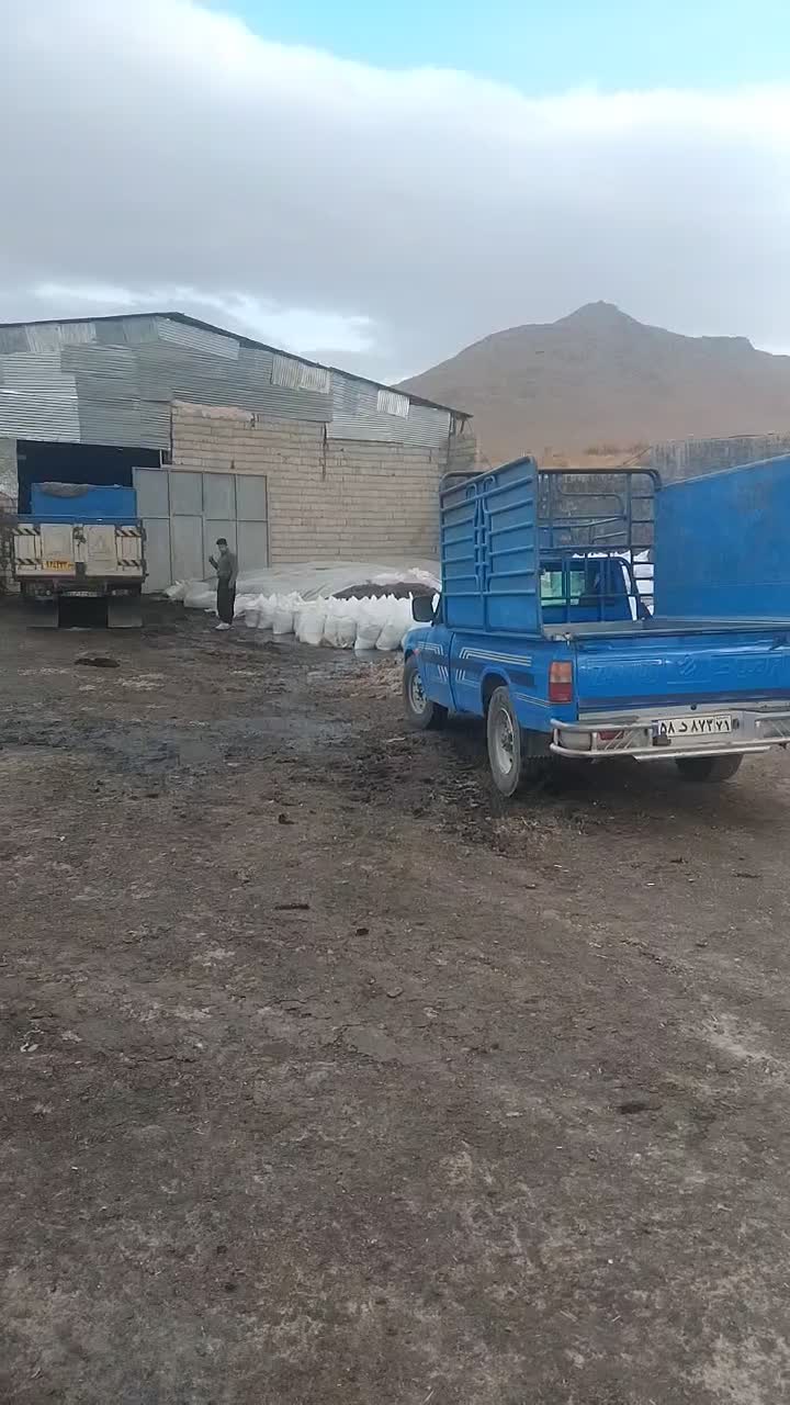 خوراک دام|عمدهفروشی|بن, |دیوار