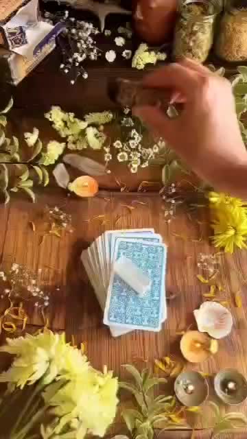 فال سحرآمیز|خدمات پذیرایی، مراسم|سقز, |دیوار